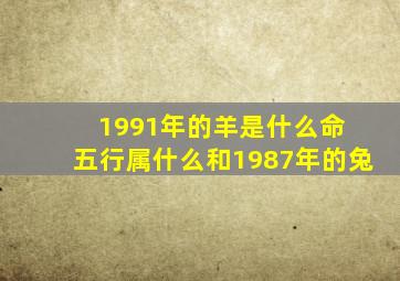 1991年的羊是什么命 五行属什么和1987年的兔